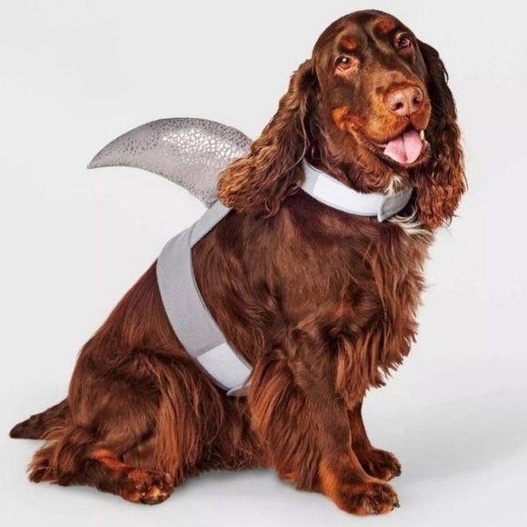NWT Hyde & Eek Boutique Pet Shark Fin Halloween Costume Cosplay Small / Medium - Picture 1 of 3
